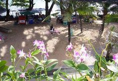 Others 6 Room Club The Bed Suite