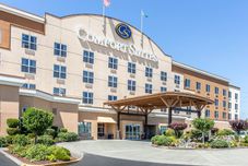 其他 Comfort Suites Tukwila