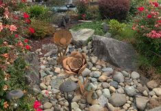 Others 2 Comfort Suites Tukwila