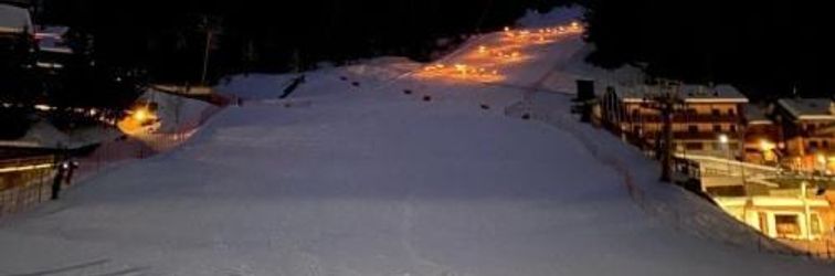 อื่นๆ Genzianella