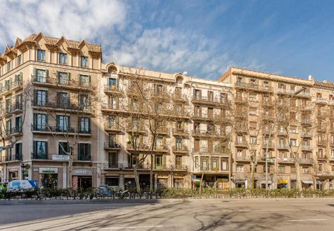 Others Urban District