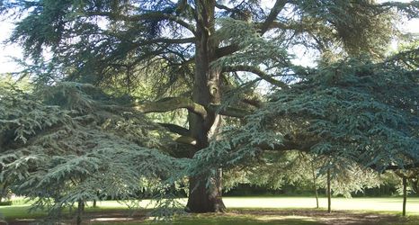 Others 2 Beechfield House