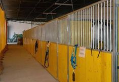 其他 4 Patio Da Avo Faustina