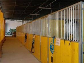 其他 4 Patio Da Avo Faustina