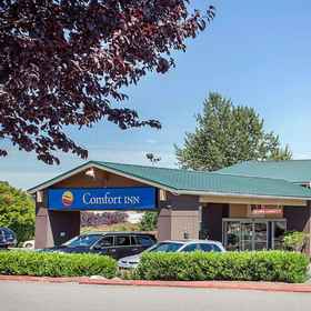 Comfort Inn 1, 酒店 金郡