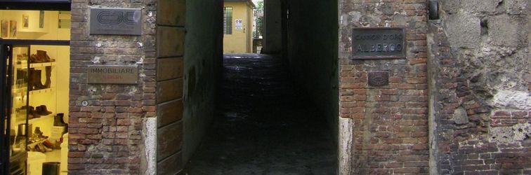 その他 Cannon d'Oro