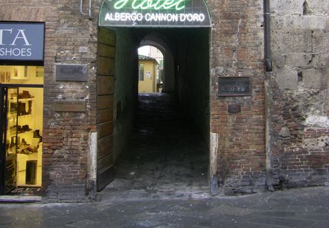 その他 Cannon d'Oro