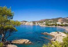 Others 3 Hotel Villa Palmer