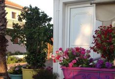 Others 6 Katerina Studios