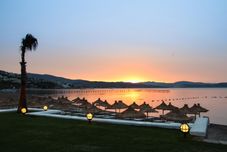 Khác Cocos The Club