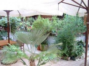 Khác 4 Conversano Al Vaticano B&B