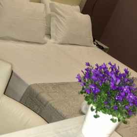 Khách sạn Paganini 1, Khách sạn Stagni di Focognano