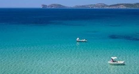 其他 2 Elisart Guest House