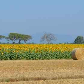 Camping La Principina 1, Abbazia di San Pancrazio al Fango 호텔