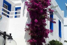 Others PARADISE APART HOTEL