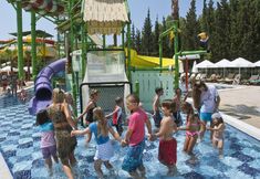 기타 4 Crystal Sunset