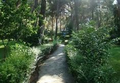 기타 2 Club Festival Tekirova