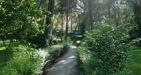 기타 2 Club Festival Tekirova