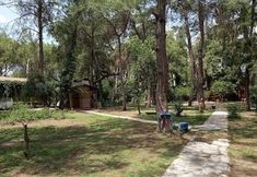 Others 4 Club Festival Tekirova