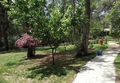 기타 5 Club Festival Tekirova