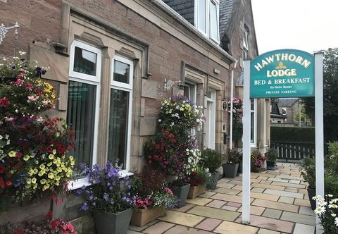 Others Hawthorn Lodge Guest House