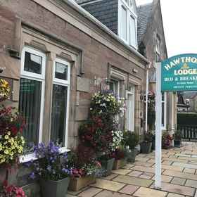 Hawthorn Lodge Guest House 1, Hotel Bellfield Park