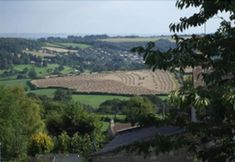 Others 7 Trimnells House