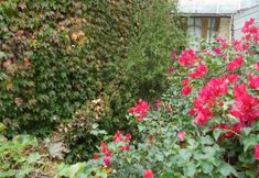 Khác 4 Rugantino Hotel Boutique