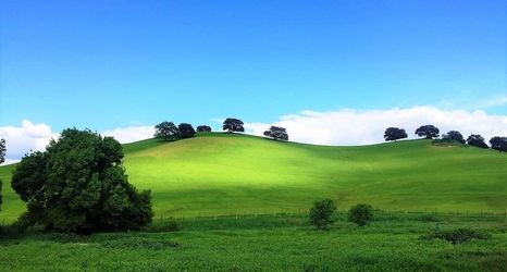 Others 2 Hotel Cortijo Las Piletas