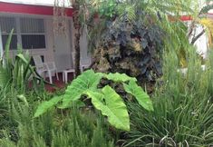 Others 2 Birch Patio Motel