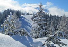 其他 5 Hotel Helga