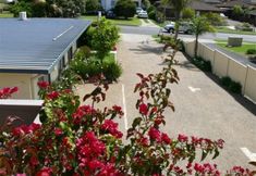 Others 3 Sandpiper Holiday Units