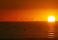 Others 2 San Simeon Beachfront Apartments Tugun