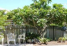 Others 2 Twin Pines Motel