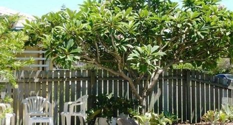 Others 2 Twin Pines Motel