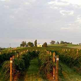 Berenbell Vineyard Retreat 1, Hotel Singleton