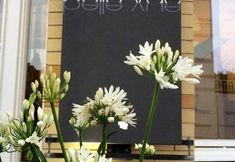 其他 4 Grand Hotel Belle Vue