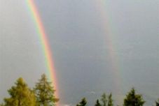 Others Albergo Cardada