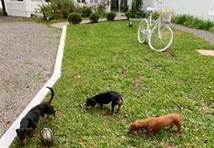 Lain-lain 5 Hotel Hospedaria Provençal