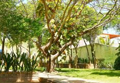 อื่นๆ 7 Pousada Iguana