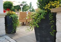 Others 5 Münsterländer Hof