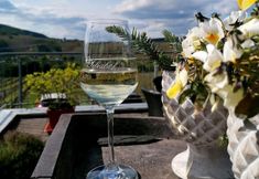 Others 6 Weingut Tiliahof
