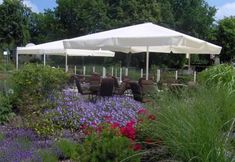 Others 5 Hotel Wikinger