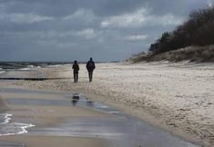 Others 7 Hotel Wikinger