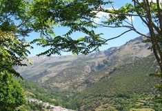 Others 4 Camping Trevéllez