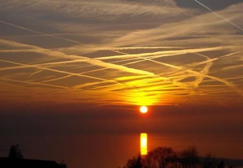 其他 Hotel Sonnenhof