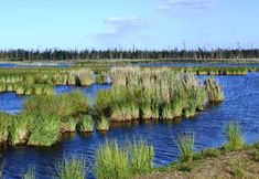 기타 6 Hotel Und Restaurant Am Peenetal