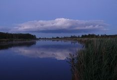 기타 7 Hotel Und Restaurant Am Peenetal