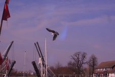 Others Hotel Zur Brücke