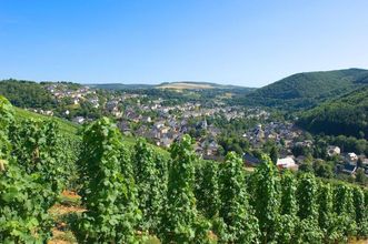 其他 4 Hotel Landgasthof Simon